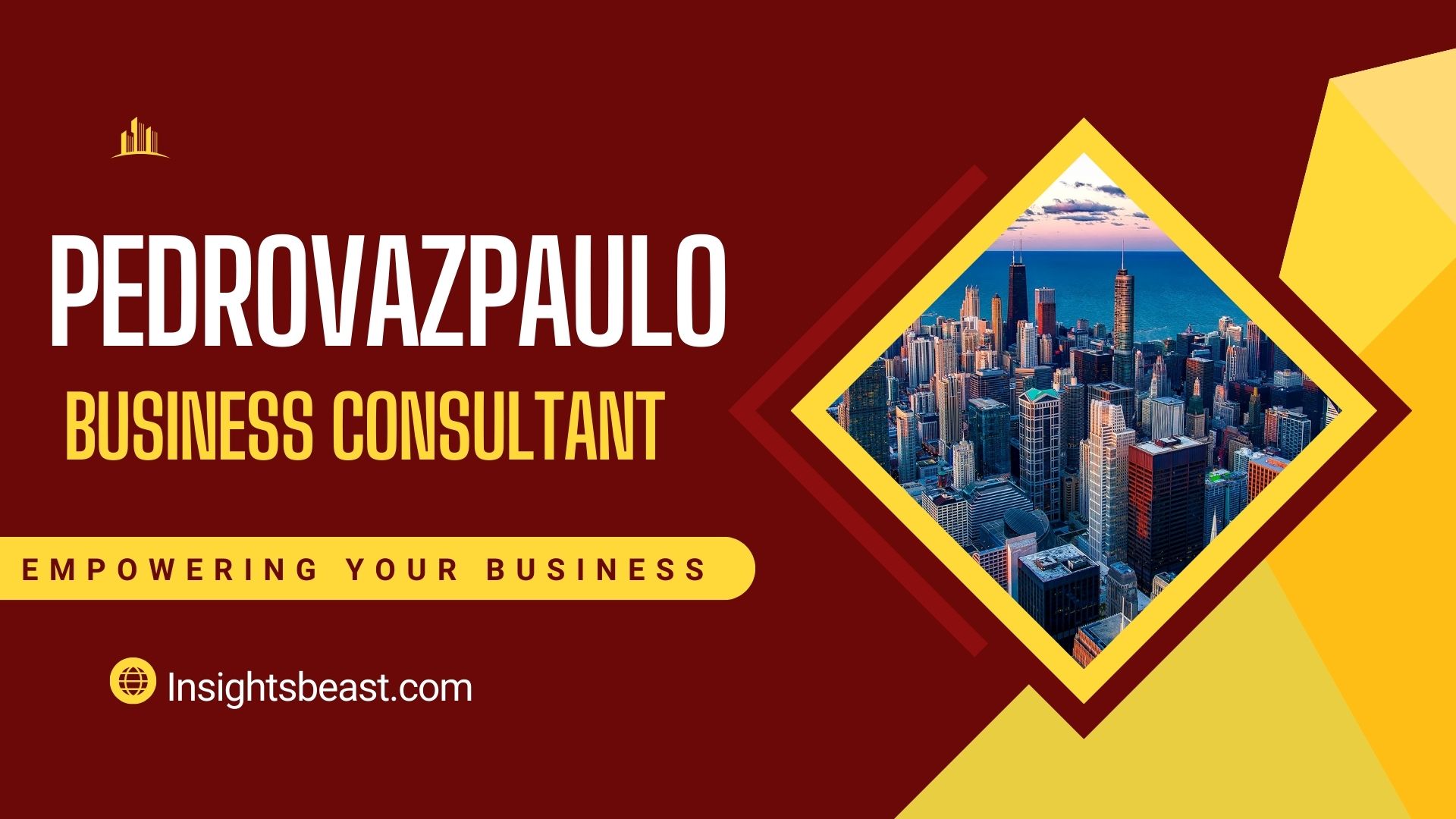 Pedrovazpaulo Business Consultant